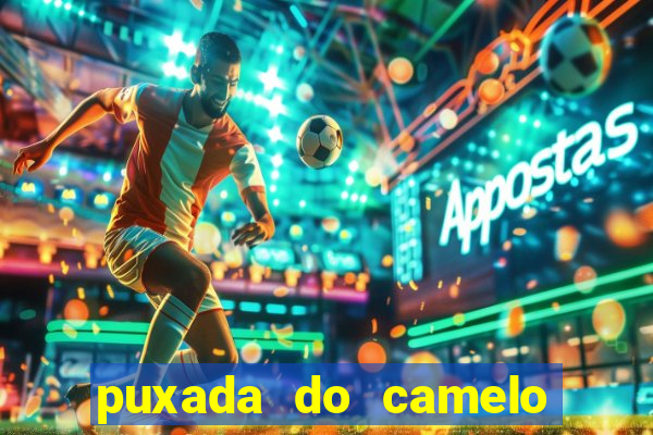 puxada do camelo jogo do bicho